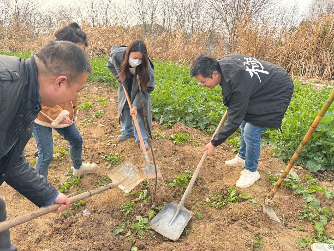 青春护绿 共“植”未来！江苏通用路桥开展植树志愿活动